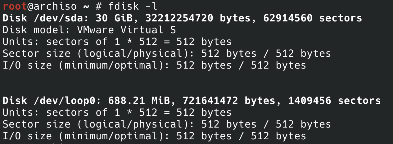 可以看到有一块30G的硬盘 /dev/sda